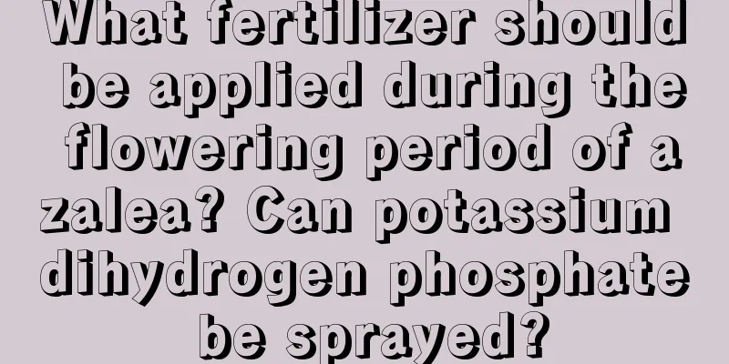 What fertilizer should be applied during the flowering period of azalea? Can potassium dihydrogen phosphate be sprayed?