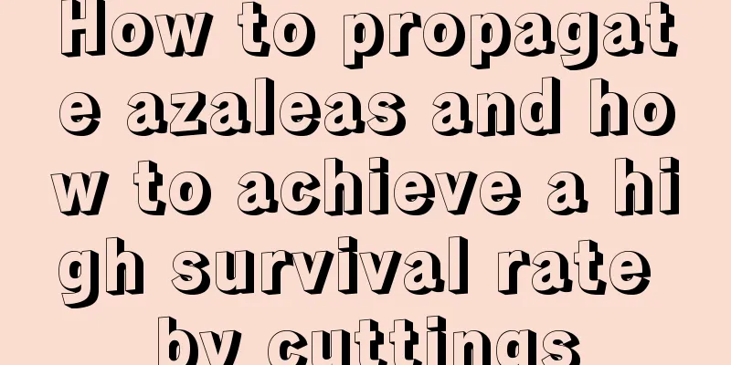 How to propagate azaleas and how to achieve a high survival rate by cuttings