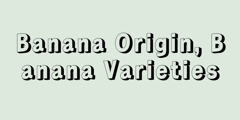 Banana Origin, Banana Varieties