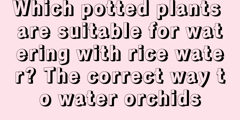 Which potted plants are suitable for watering with rice water? The correct way to water orchids