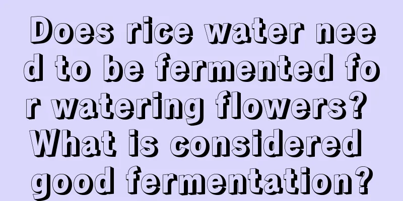 Does rice water need to be fermented for watering flowers? What is considered good fermentation?