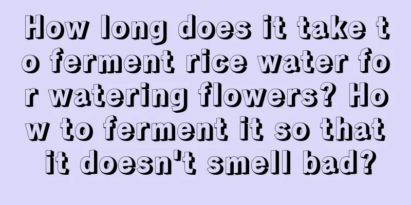 How long does it take to ferment rice water for watering flowers? How to ferment it so that it doesn't smell bad?