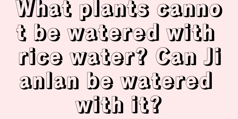 What plants cannot be watered with rice water? Can Jianlan be watered with it?