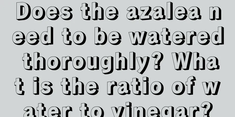 Does the azalea need to be watered thoroughly? What is the ratio of water to vinegar?