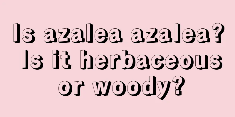 Is azalea azalea? Is it herbaceous or woody?