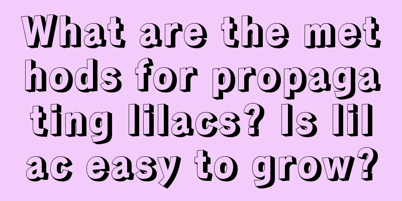 What are the methods for propagating lilacs? Is lilac easy to grow?