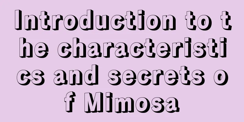 Introduction to the characteristics and secrets of Mimosa