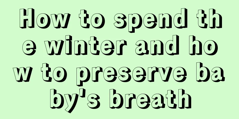 How to spend the winter and how to preserve baby's breath