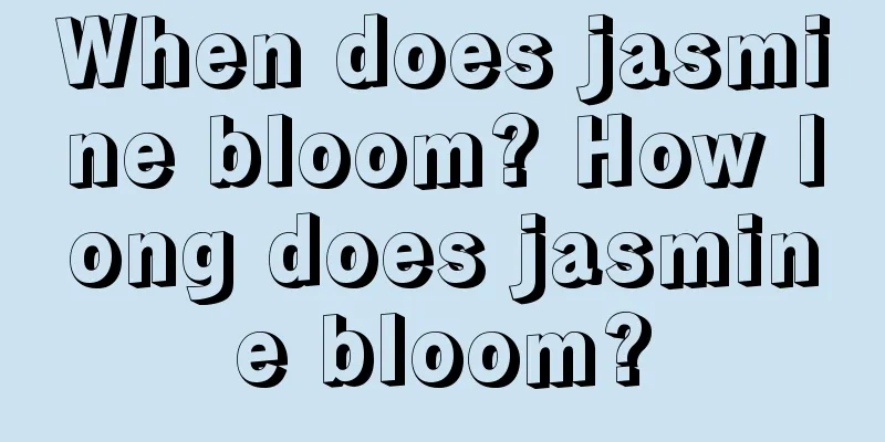 When does jasmine bloom? How long does jasmine bloom?