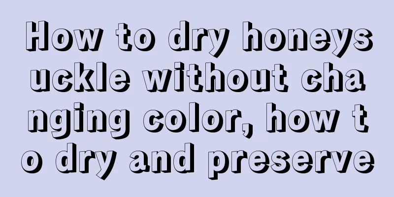 How to dry honeysuckle without changing color, how to dry and preserve