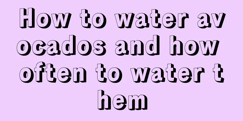 How to water avocados and how often to water them