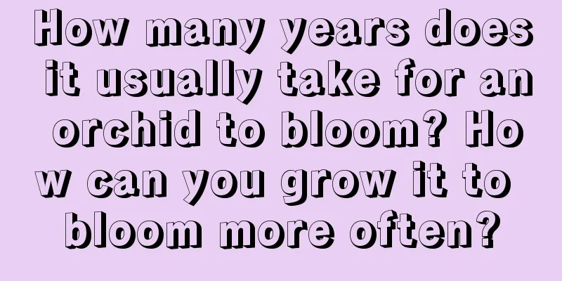 How many years does it usually take for an orchid to bloom? How can you grow it to bloom more often?