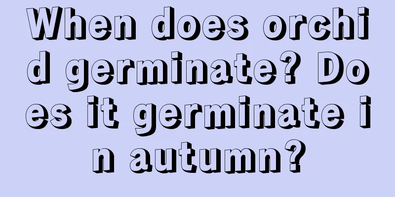 When does orchid germinate? Does it germinate in autumn?