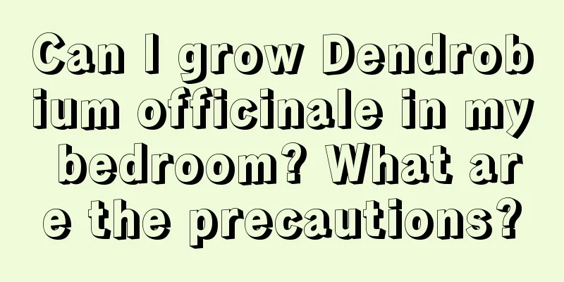 Can I grow Dendrobium officinale in my bedroom? What are the precautions?