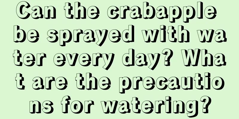 Can the crabapple be sprayed with water every day? What are the precautions for watering?