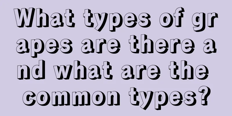 What types of grapes are there and what are the common types?