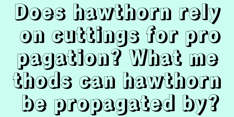 Does hawthorn rely on cuttings for propagation? What methods can hawthorn be propagated by?