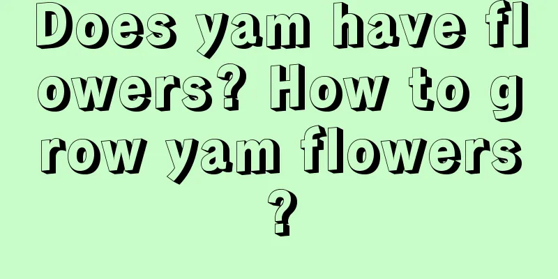 Does yam have flowers? How to grow yam flowers?