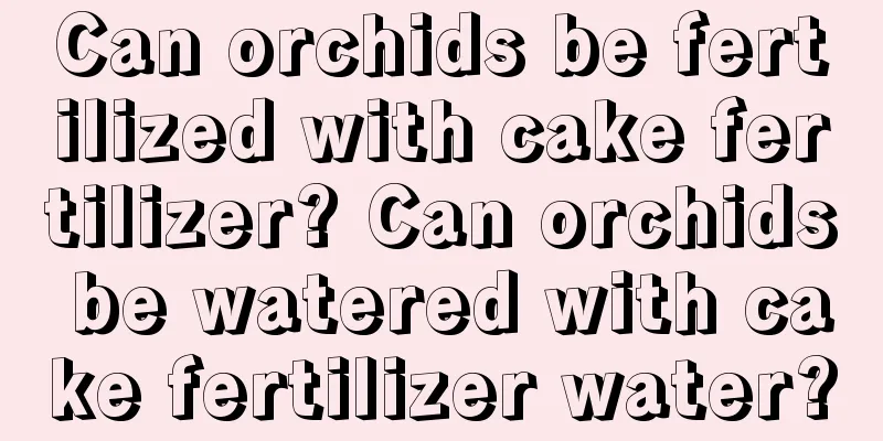 Can orchids be fertilized with cake fertilizer? Can orchids be watered with cake fertilizer water?