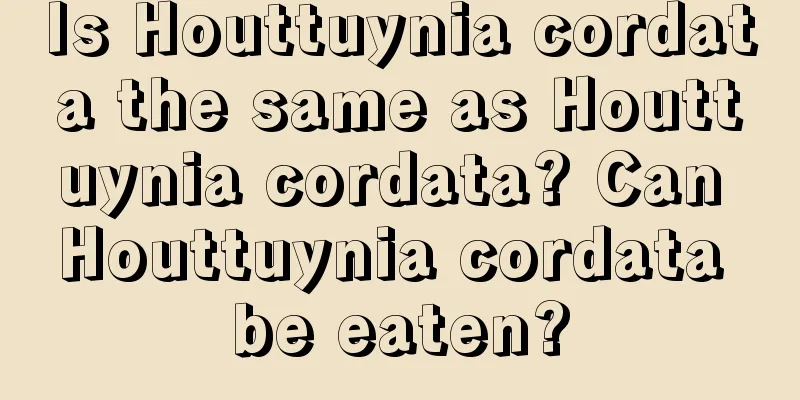 Is Houttuynia cordata the same as Houttuynia cordata? Can Houttuynia cordata be eaten?