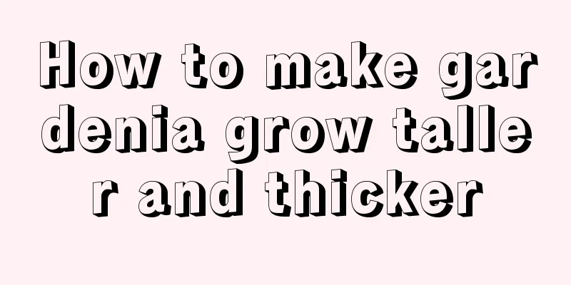 How to make gardenia grow taller and thicker