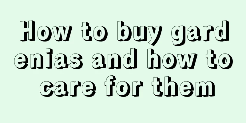 How to buy gardenias and how to care for them