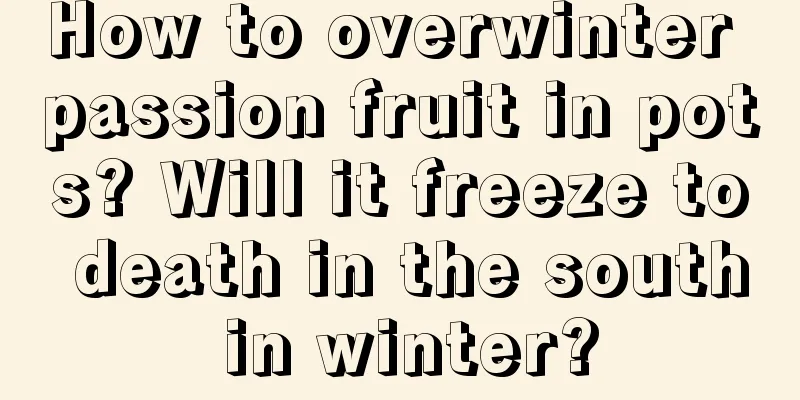 How to overwinter passion fruit in pots? Will it freeze to death in the south in winter?