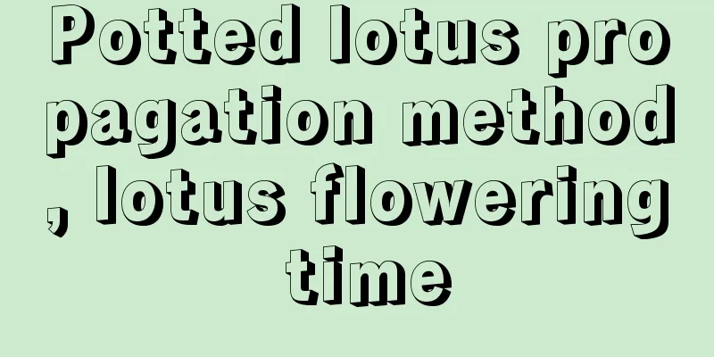 Potted lotus propagation method, lotus flowering time