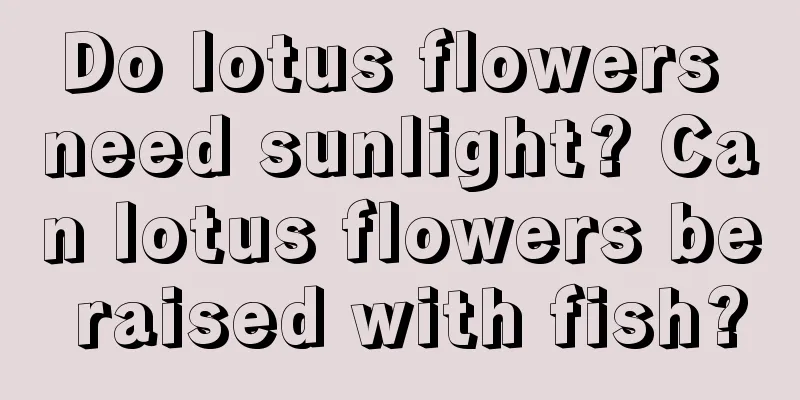 Do lotus flowers need sunlight? Can lotus flowers be raised with fish?