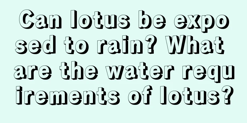 Can lotus be exposed to rain? What are the water requirements of lotus?