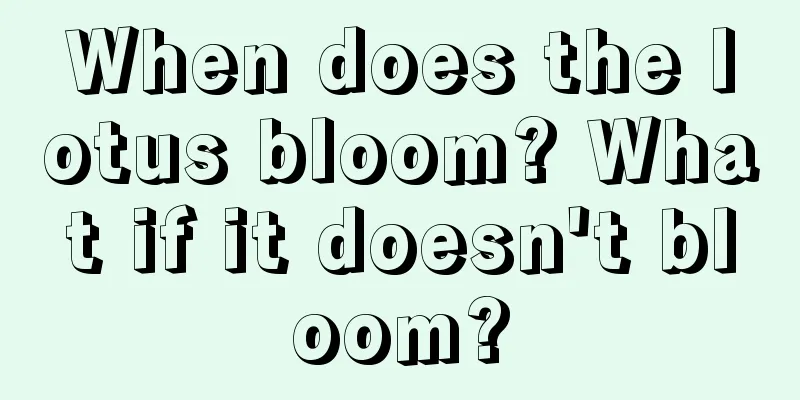 When does the lotus bloom? What if it doesn't bloom?