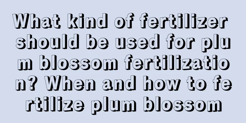 What kind of fertilizer should be used for plum blossom fertilization? When and how to fertilize plum blossom