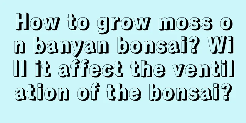 How to grow moss on banyan bonsai? Will it affect the ventilation of the bonsai?