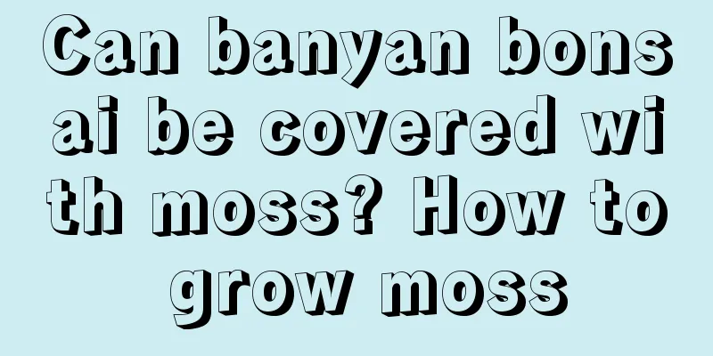 Can banyan bonsai be covered with moss? How to grow moss