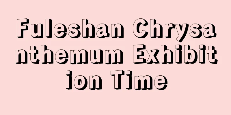 Fuleshan Chrysanthemum Exhibition Time