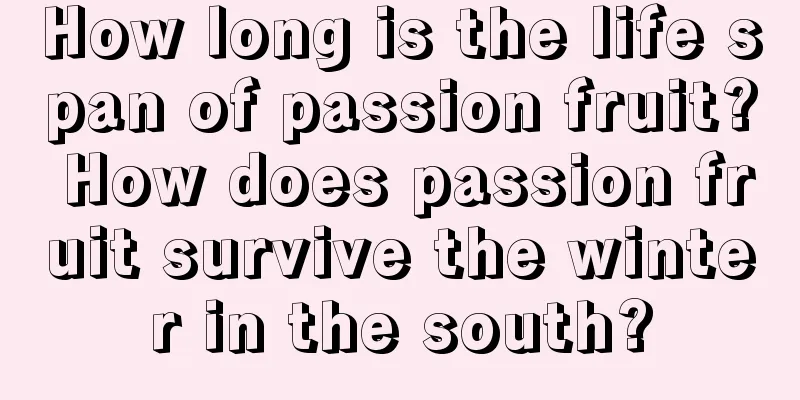 How long is the life span of passion fruit? How does passion fruit survive the winter in the south?