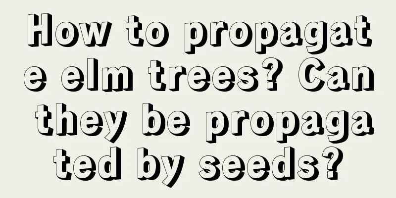 How to propagate elm trees? Can they be propagated by seeds?