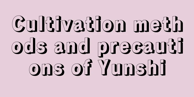 Cultivation methods and precautions of Yunshi