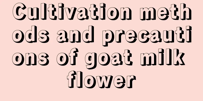 Cultivation methods and precautions of goat milk flower