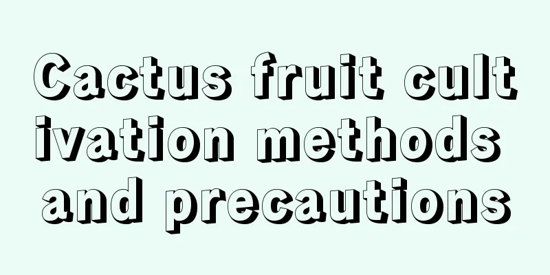 Cactus fruit cultivation methods and precautions