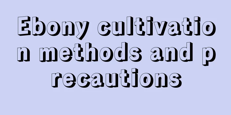 Ebony cultivation methods and precautions