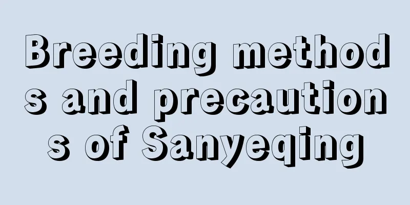 Breeding methods and precautions of Sanyeqing