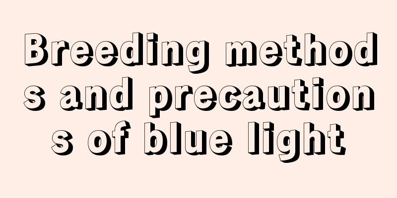 Breeding methods and precautions of blue light