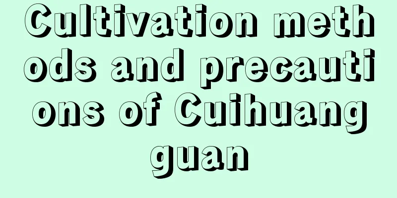 Cultivation methods and precautions of Cuihuangguan