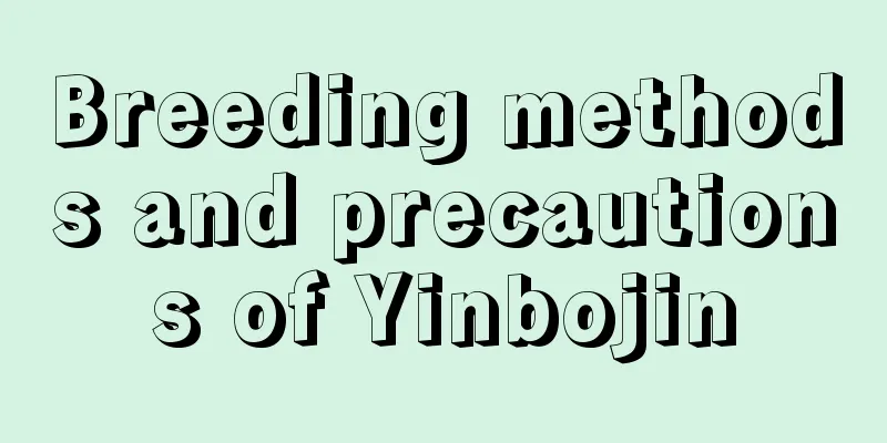 Breeding methods and precautions of Yinbojin