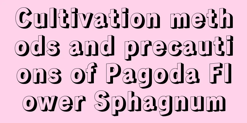 Cultivation methods and precautions of Pagoda Flower Sphagnum