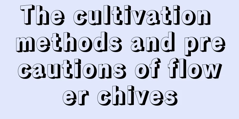 The cultivation methods and precautions of flower chives