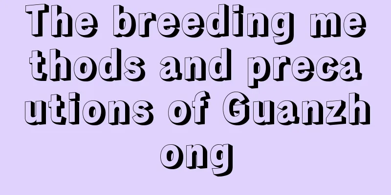 The breeding methods and precautions of Guanzhong