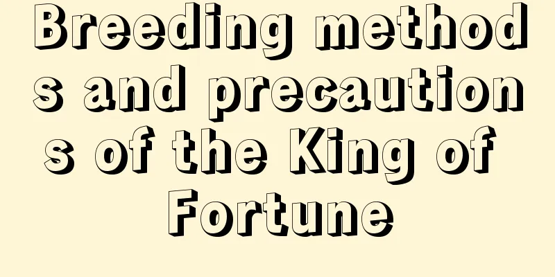 Breeding methods and precautions of the King of Fortune