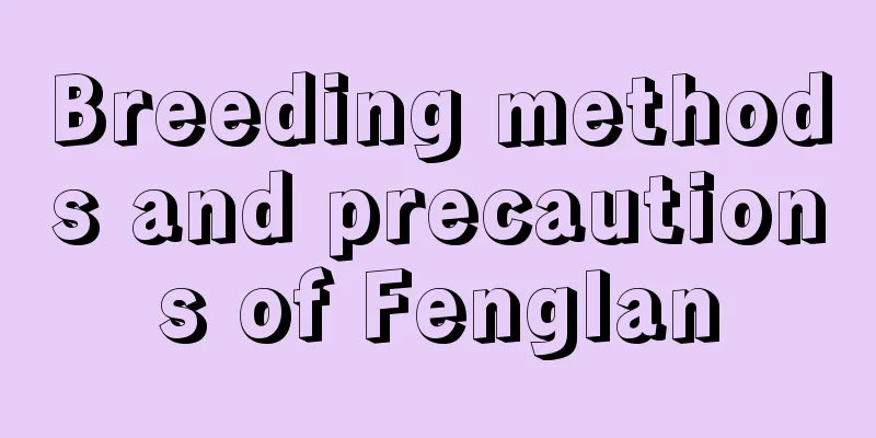 Breeding methods and precautions of Fenglan